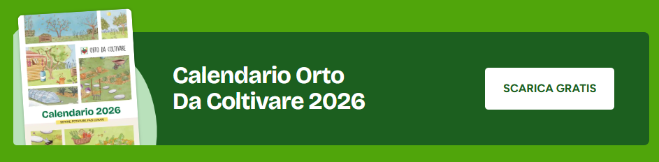 Cosa piantare nell'orto